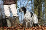 ADULTE ET CHIEN 079